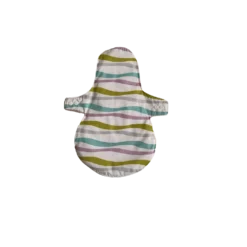 پد شبانه بانوان